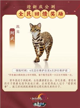 天龙八部私服残留